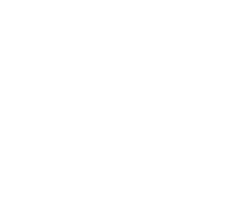 Sladen Consulting
