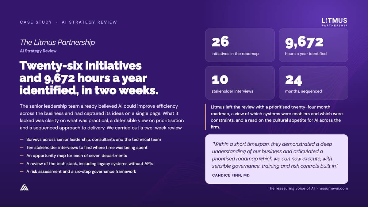 The Litmus Partnership: AI Strategy Review, case study slide